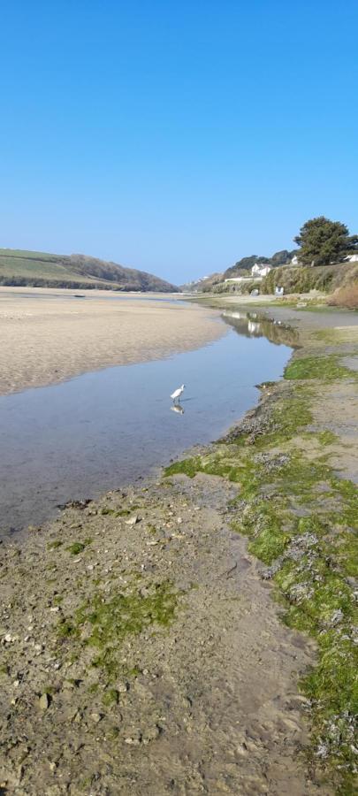Aurora Apartment Newquay New Quay Dış mekan fotoğraf